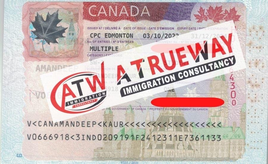visa consulting
